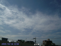 in Tokyo 2005.10.14 12:59 k (enlarg. 18)