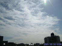 in Tokyo 2005.10.14 12:24 쐼 (enlarg. 91)