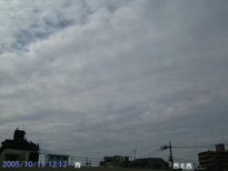 in Tokyo 2005.10.19 12:13  (enlarg. 13)