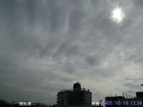 in Tokyo 2005.10.19 13:34 쐼 (enlarg. 47)