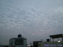 in Tokyo 2005.10.21 17:09 쐼 (enlarg. 27)