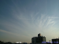 in Tokyo 2005.10.25 15:26 쐼 (enlarg. 57)