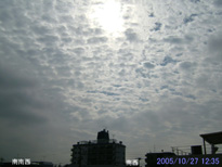 in Tokyo 2005.10.27 12:35 쐼 (enlarg. 75)