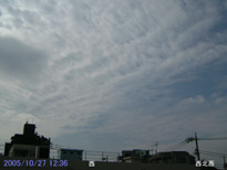in Tokyo 2005.10.27 12:36  (enlarg. 84)