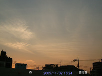 in Tokyo 2005.11.2 16:24  (k)(enlarg. 67)