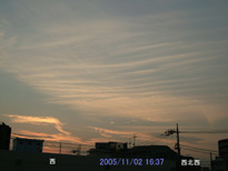 in Tokyo 2005.11.2 16:37  (k)(enlarg. 83)
