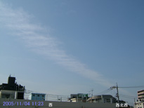 in Tokyo 2005.11.4 11:23  (k)(enlarg. 74)
