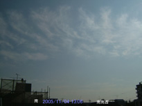 in Tokyo 2005.11.4 13:06  (쐼)(enlarg. 92)
