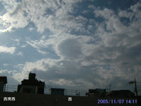 in Tokyo 2005.11.7 14:11  (enlarg. 10)