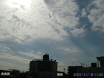 in Tokyo 2005.11.10 11:43 쐼 (enlarg. 16)