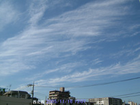 in Tokyo 2005.11.16 13:07 k  (k)(enlarg. 25)