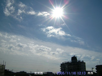 in Tokyo 2005.11.16 12:13 쐼 (enlarg. 82)