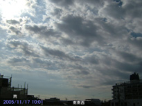 in Tokyo 2005.11.17 10:01 쐼 (enlarg. 30)