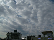 in Tokyo 2005.11.17 10:01 쐼 (enlarg. 31)