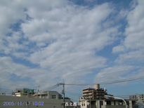 in Tokyo 2005.11.17 10:02 k (enlarg. 33)