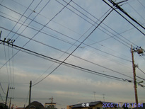 in Tokyo 2005.11.18 16:04 k (enlarg. 40)
