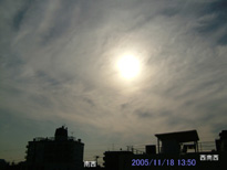 in Tokyo 2005.11.18 13:50 쐼 (enlarg. 56)