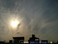 in Tokyo 2005.11.18 14:28 쐼 (enlarg. 86)