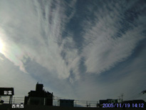 in Tokyo 2005.11.19 14:12  (enlarg. 94)