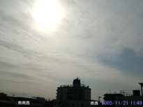 in Tokyo 2005.11.21 11:49 쐼(enlarg. 86)