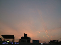 in Tokyo 2005.11.23 16:34 쐼(enlarg. 41)