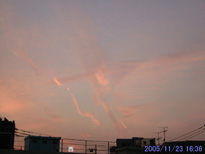 in Tokyo 2005.11.23 16:36 쐼(enlarg. 51)