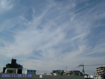 in Tokyo 2005.11.26 11:18 (enlarg. 94)