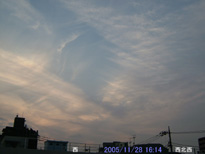in Tokyo 2005.11.28 16:14 쐼(enlarg. 37)