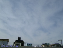 in Tokyo 2006.1.4 11:14  (enlarg. 69)