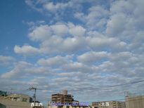in Tokyo 2006.1.9 08:30 k (k)(enlarg. 87)