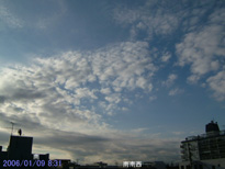 in Tokyo 2006.1.9 08:31 쐼 (enlarg. 89)