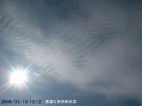 in Tokyo 2006.1.15 13:12 쐼 (enlarg. 78)