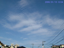 in Tokyo 2006.1.15 13:54  (enlarg. 98)