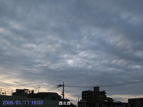 in Tokyo 2006.1.17 16:03 k (enlarg. 64)