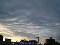 in Tokyo 2006.1.17 16:12 k ()(enlarg. 79)