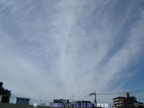 in Tokyo 2006.1.19 12:20  (쐼)(enlarg. 00)