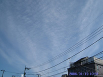 in Tokyo 2006.1.19 10:58  (enlarg. 48)