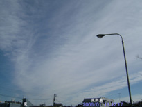 in Tokyo 2006.1.19 12:17 쓌 (enlarg. 91)