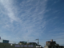 in Tokyo 2006.1.25 13:09  (enlarg. 83)