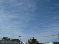 in Tokyo 2006.1.25 13:17 k (enlarg. 97)