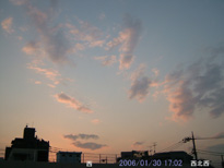 in Tokyo 2006.1.30 17:02  (enlarg. 56)
