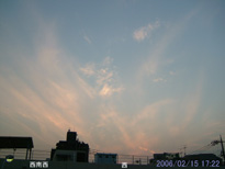 in Tokyo 2006.2.15 17:22  (enlarg. 69)