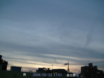 in Tokyo 2006.2.22 17:51 k (enlarg. 92)