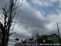 in Tokyo 2006.3.2 12:01  (enlarg. 06)