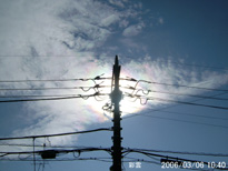 in Tokyo 2006.3.6 10:40 쐼 (enlarg. 49)