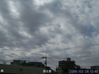 in Tokyo 2006.3.24 13:48 k (enlarg. 56)