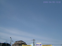 in Tokyo 2006.4.9 13:32 k (enlarg. 03)