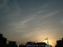 in Tokyo 2006.4.9 17:40  (k)(enlarg. 22)