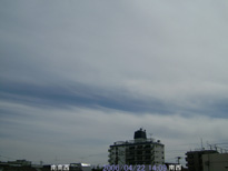 in Tokyo 2006.4.22 14:09 쐼 (enlarg. 88)