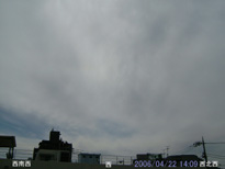 in Tokyo 2006.4.22 14:09  (enlarg. 93)